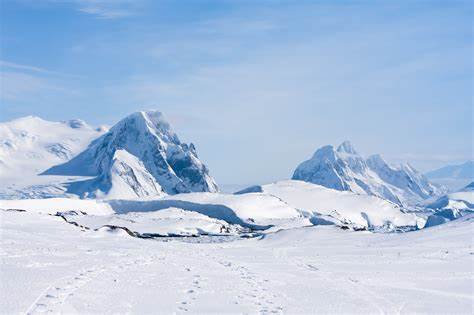 Arctic & Antarctica Wide