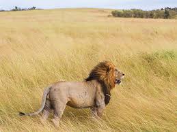 Kenya