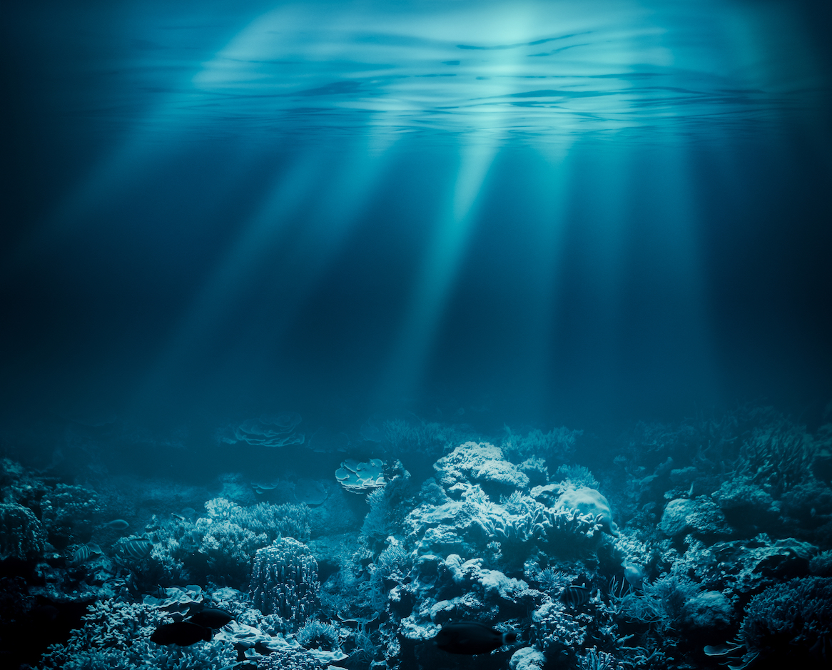 Oceans and Seas