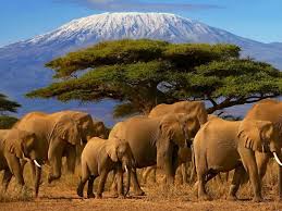 Tanzania