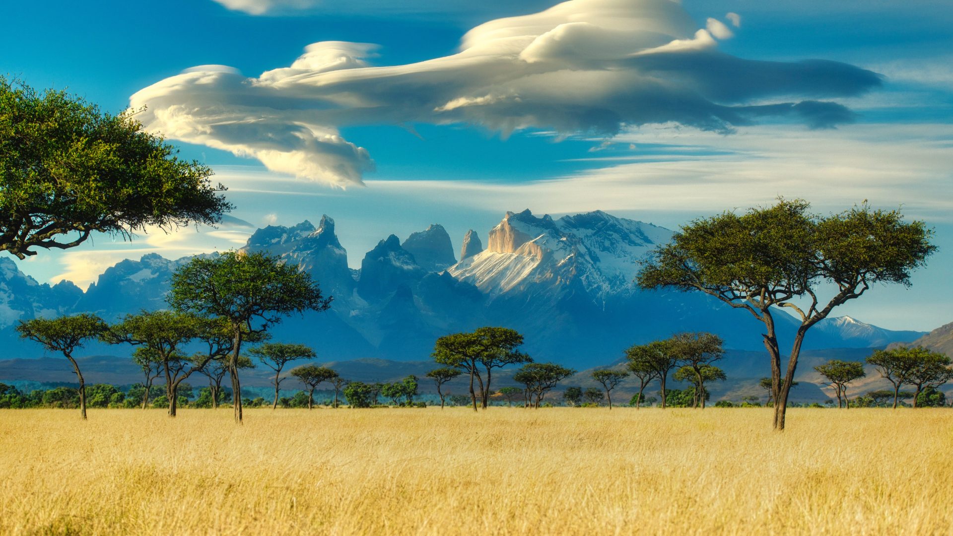 Africa Wide