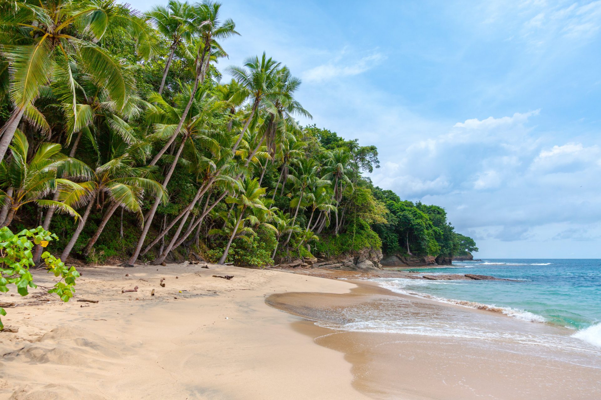 Caribbean Wide