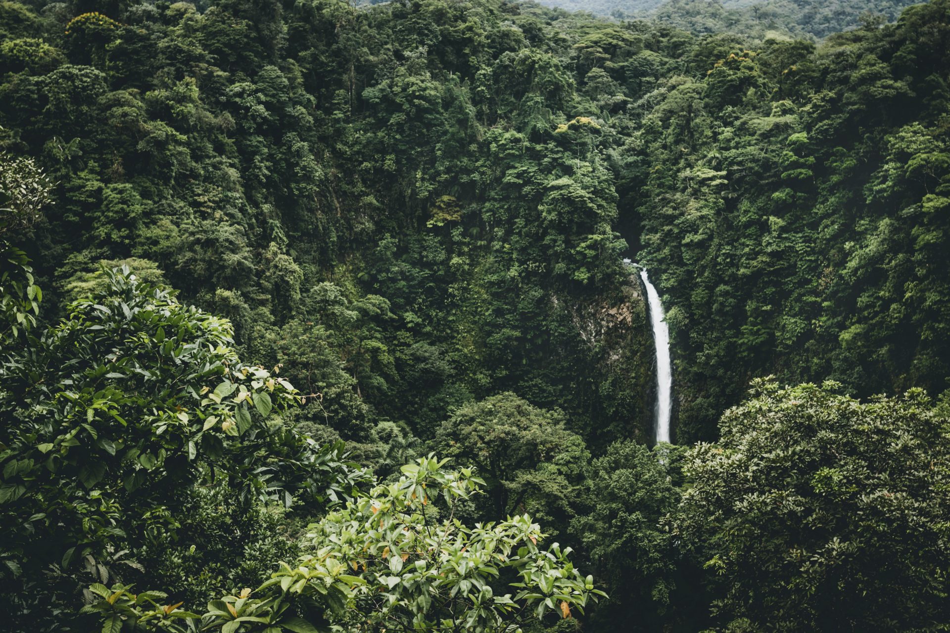 Central America Wide