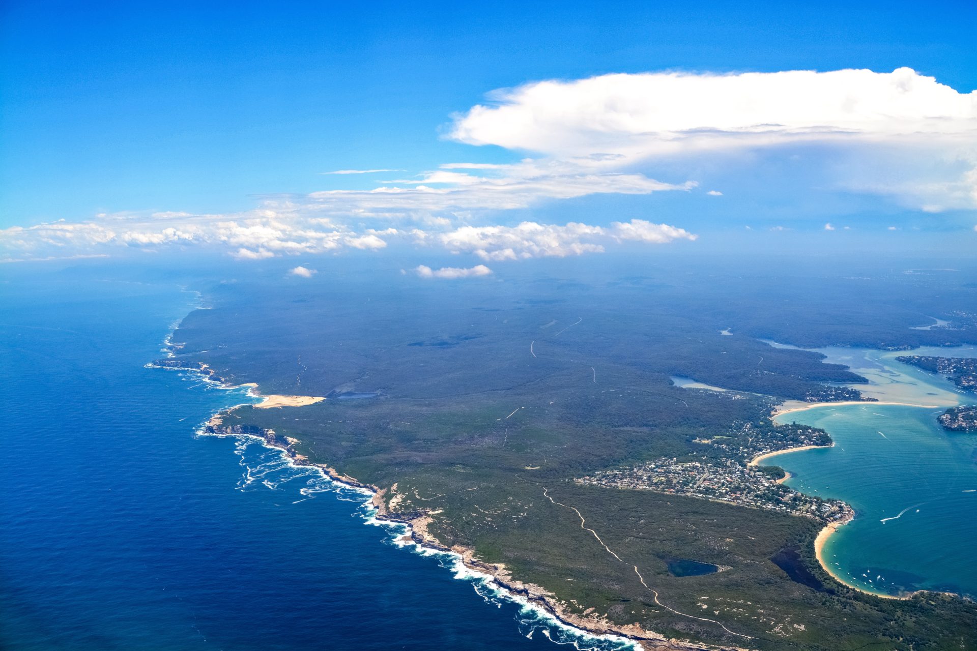 Oceania Wide