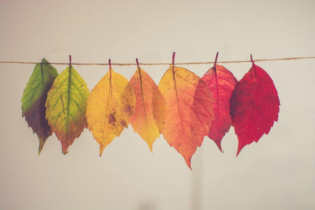 Embrace Change image